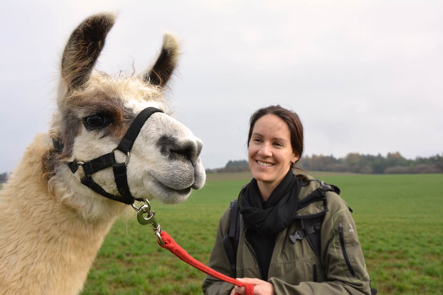Eine junge Frau auf Lamawanderung in NRW.