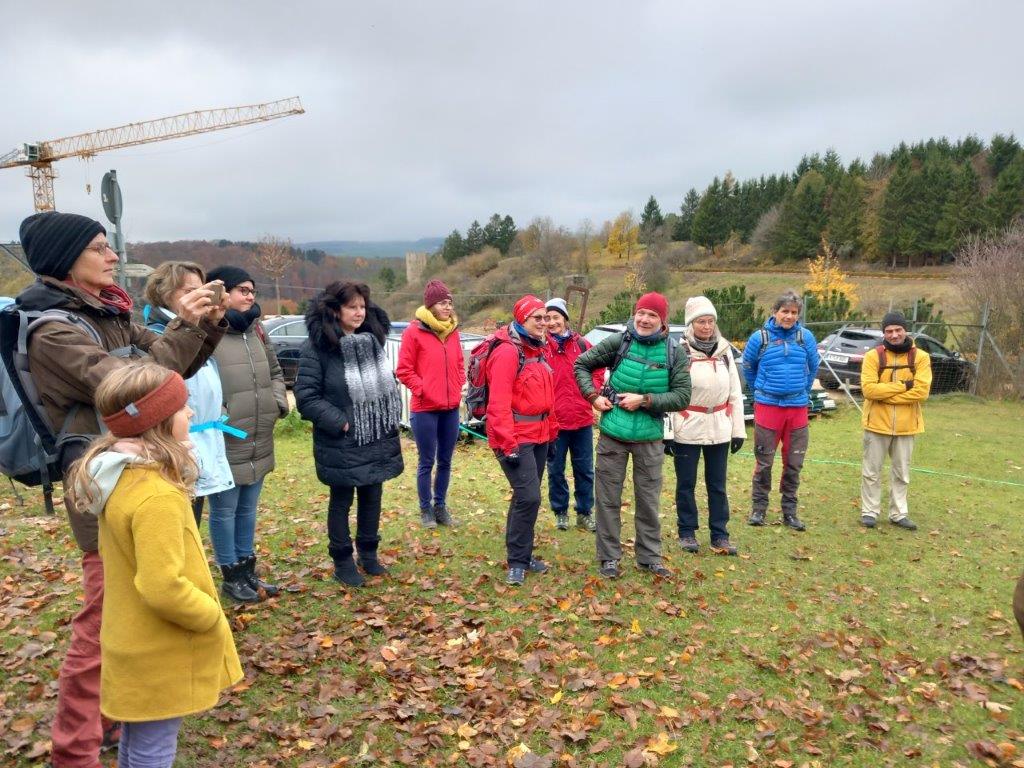 Lamawanderung in der Eifel: Einführung auf der Lamaweide