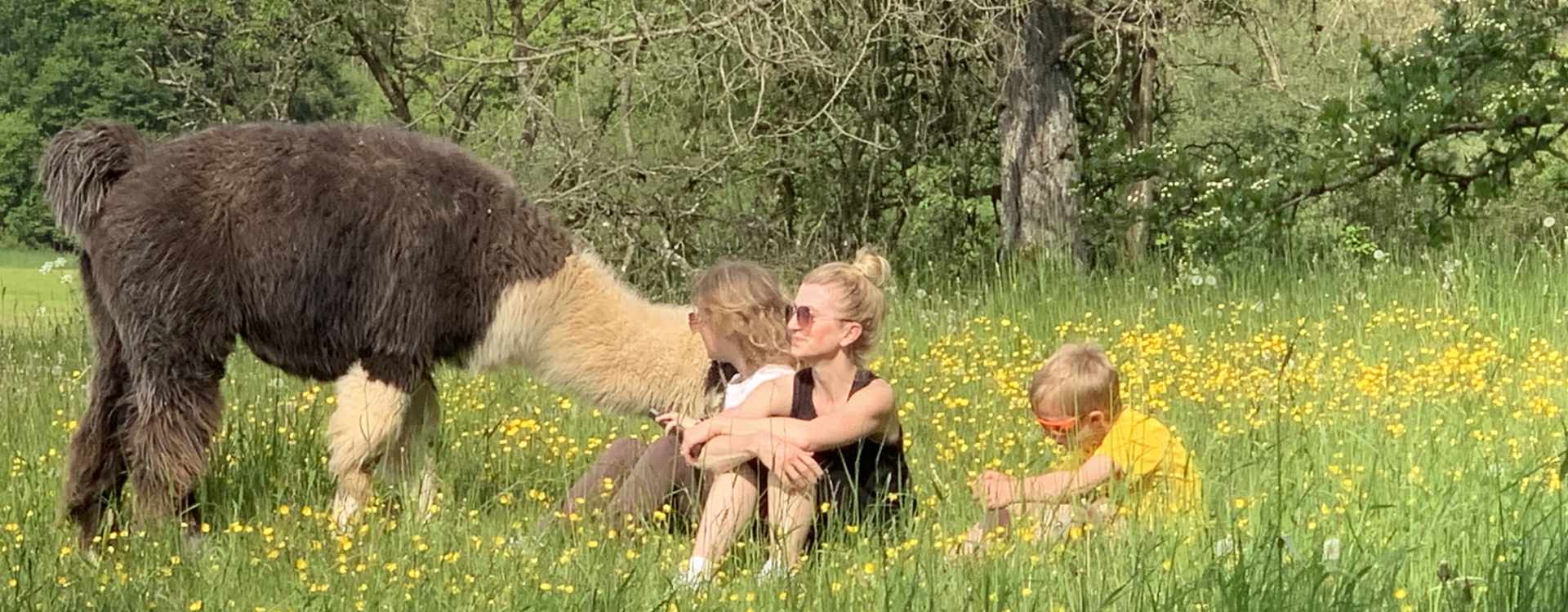 Sommerwanderung Eifel mit Lamas: Pause