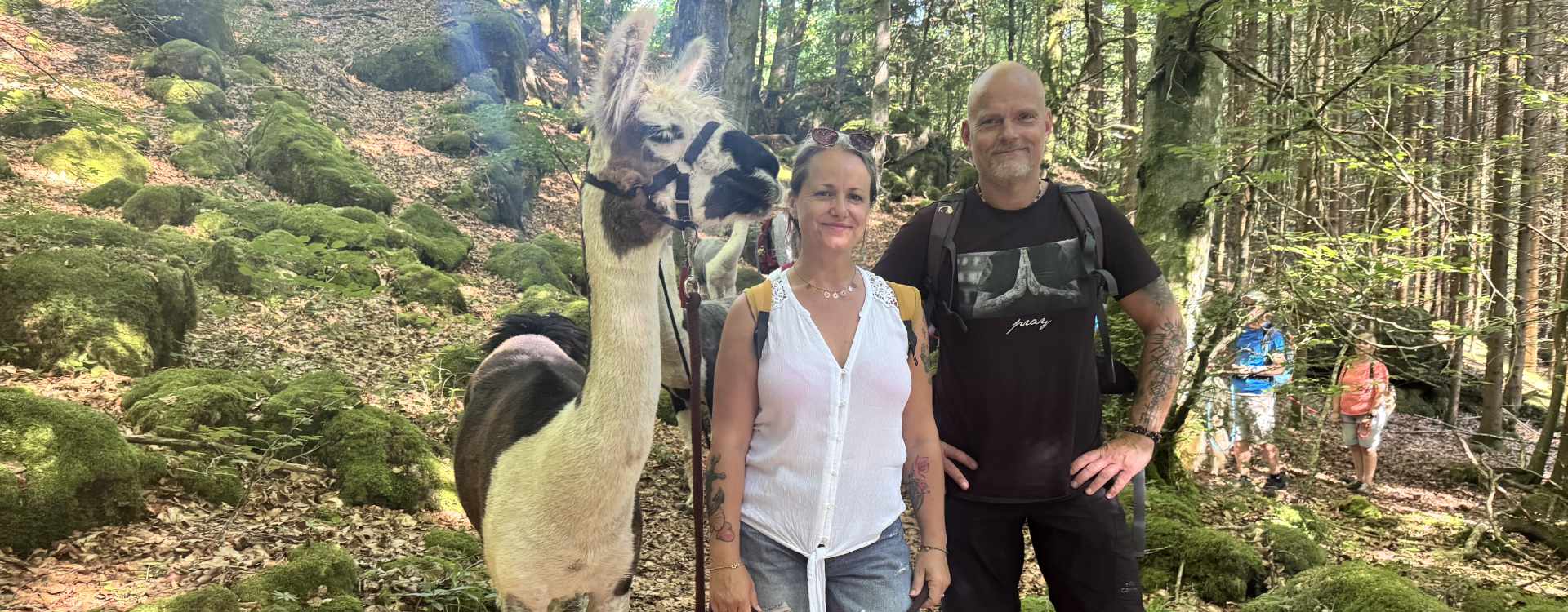 Sommerwanderung in der Eifel: Keltenfliehburg