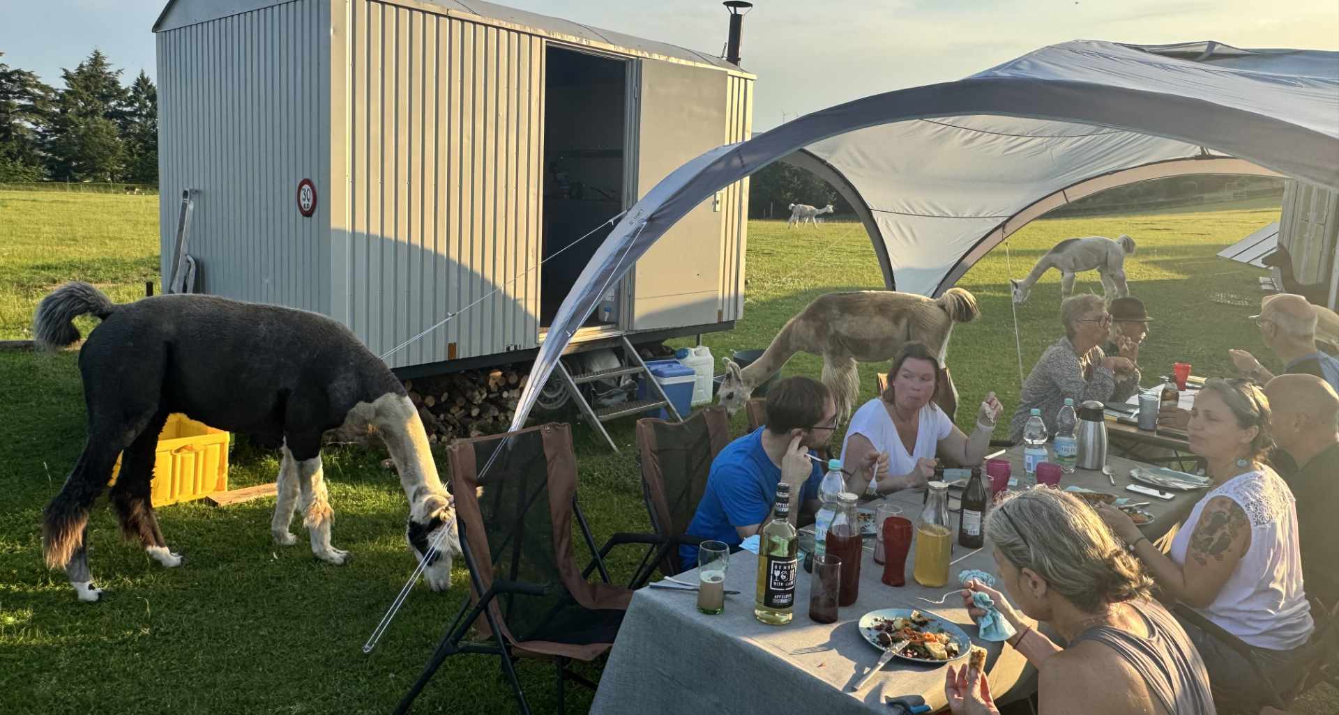 Schlemmerwanderung im Sommer: Pavillon